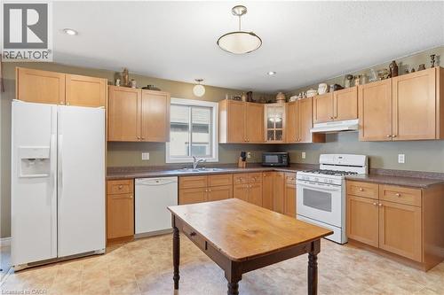 9 Pace Avenue, Brantford, ON - Indoor Photo Showing Kitchen With Double Sink