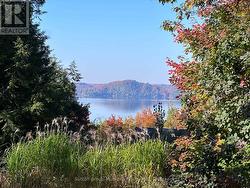 autumn views - 