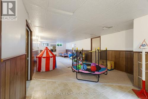 Basement - 87 Ball Street, Brant, ON 