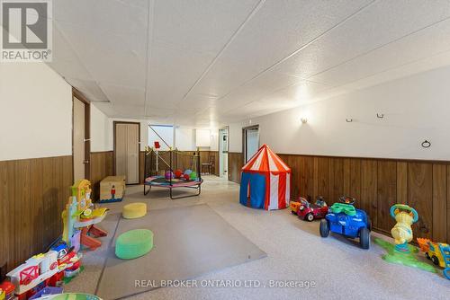 Basement - 87 Ball Street, Brant, ON 