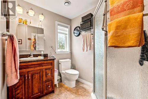 14 Castle Bridge Drive, St. John'S, NL 