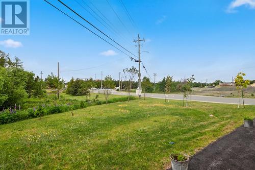14 Castle Bridge Drive, St. John'S, NL 