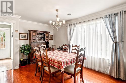 14 Castle Bridge Drive, St. John'S, NL 