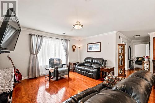 14 Castle Bridge Drive, St. John'S, NL 