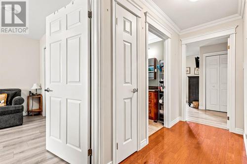 14 Castle Bridge Drive, St. John'S, NL 