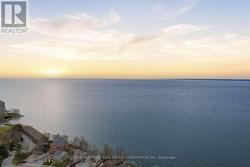 View From Terrace - 