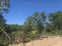 417 Creek RD Prince Township, ON P6A 6K4