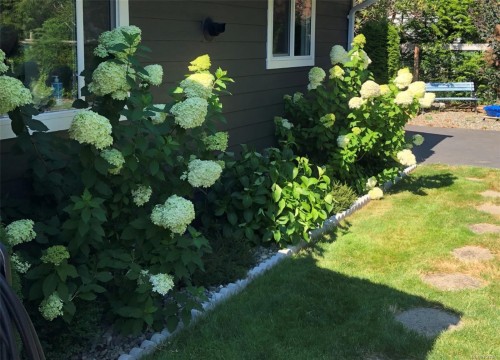 5000 Childs Rd, Courtenay, BC 