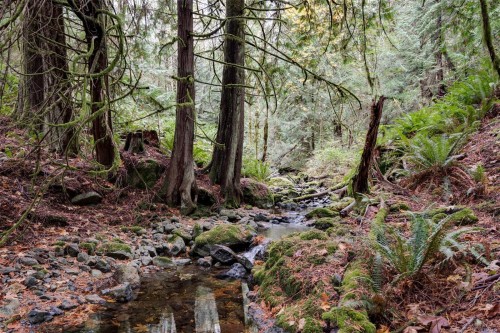 4976 Sooke Rd, Metchosin, BC 