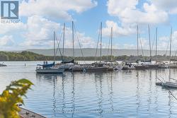 Marina - 