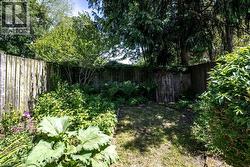 Fenced backyard with mature trees and established plantings - 