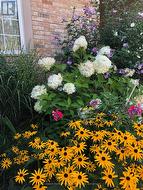 Front Gardens - 