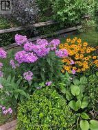 Back Yard Perennials - 