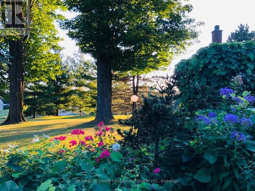 130 Myrtle Road E, Whitby, ON - Outdoor