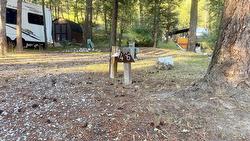 8523 Eacrett Road  Radium Hot Springs, BC V0M 1M0