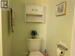 Basement Bathroom - 