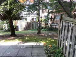 Backyard - 