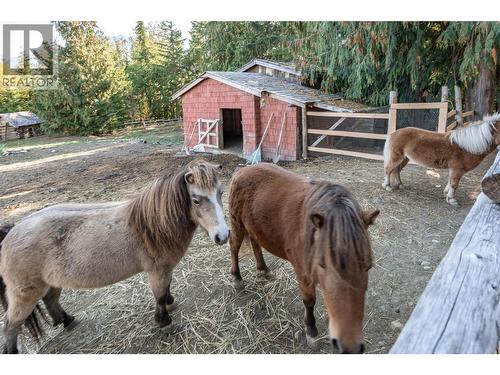 8840 Olson Road, Kaslo, BC - Outdoor