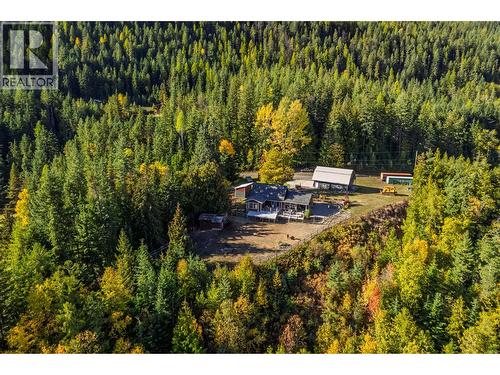 8840 Olson Road, Kaslo, BC - Outdoor With View