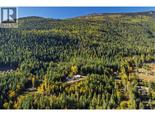 8840 Olson Road, Kaslo, BC - Outdoor With View