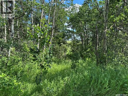 Lot 3 Ravine Road, Big Shell, SK 