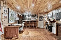 Lower Level Rec Room/Bar - 