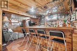 Lower Level Rec Room/Bar - 