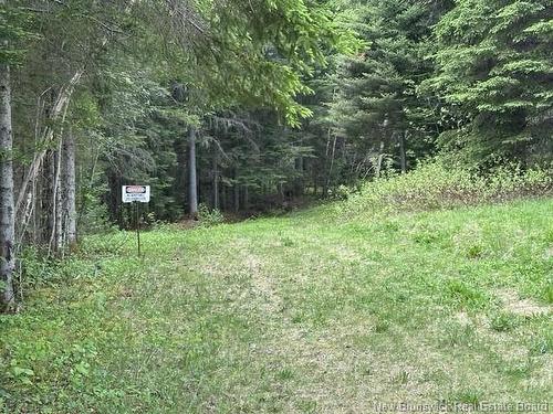 35 Ch Rang 7 Et 8, Kedgwick, NB 