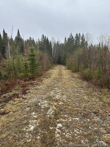 35 Ch Rang 7 Et 8, Kedgwick, NB 