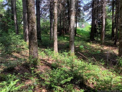 35 Ch Rang 7 Et 8, Kedgwick, NB 