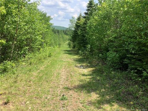 35 Ch Rang 7 Et 8, Kedgwick, NB 