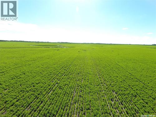 Neels Land, Francis Rm No. 127, SK 