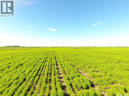 Neels Land, Francis Rm No. 127, SK 