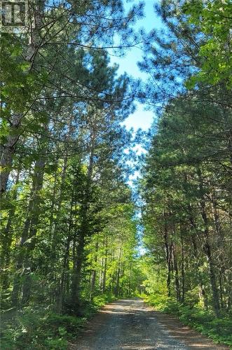 30 Shields Point Road, Bonfield, ON - Outdoor With View