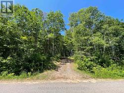692 MITCHELL ROAD Madawaska Valley, ON K0J 1B0