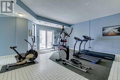 903 - 549 Ridout Street N, London East (East F), ON - Indoor Photo Showing Gym Room