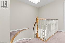 Upper-level landing featuring a skylight, light-toned wall paint, and a carpeted floor - 