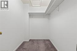 Spacious walk-in closet featuring light gray carpeting, white walls, white baseboards, and built-in white wire shelving with hanging rod - 