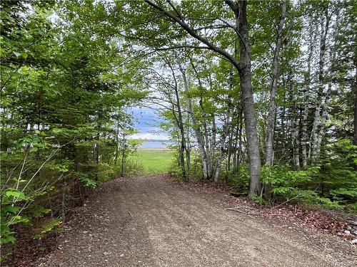 1446 Chatillon, Maisonnette, NB 