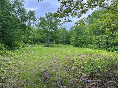 1446 Chatillon, Maisonnette, NB 