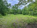 1446 Chatillon, Maisonnette, NB 