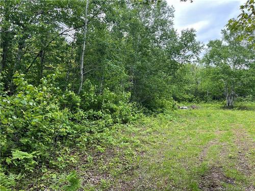 1446 Chatillon, Maisonnette, NB 