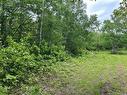 1446 Chatillon, Maisonnette, NB 