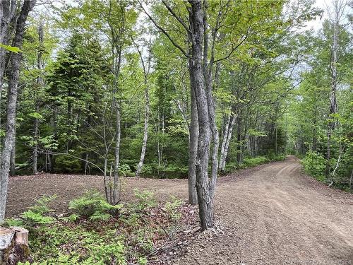 1446 Chatillon, Maisonnette, NB 