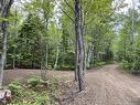 1446 Chatillon, Maisonnette, NB 