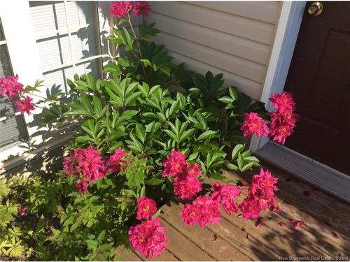 822 Douglas Ave, Fredericton, NB 