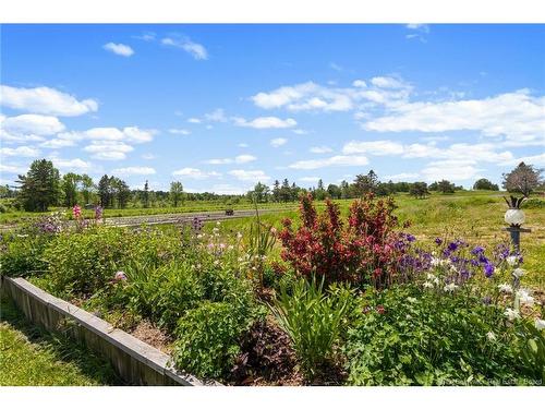5925 Route 10, Hardwood Ridge, NB 