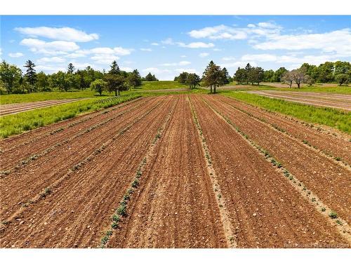 5925 Route 10, Hardwood Ridge, NB 