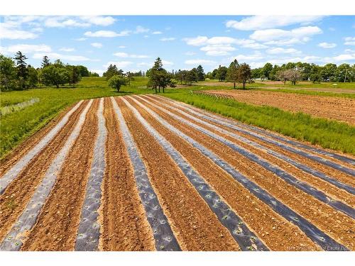 5925 Route 10, Hardwood Ridge, NB 