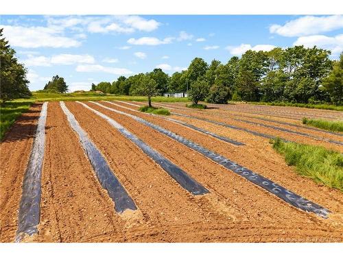 5925 Route 10, Hardwood Ridge, NB 